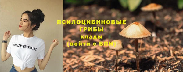 ECSTASY Горняк