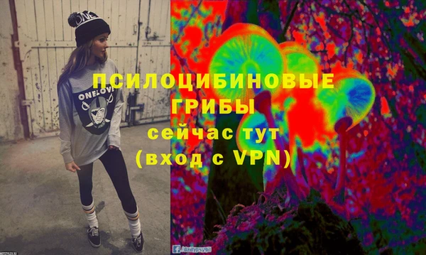 ECSTASY Горняк