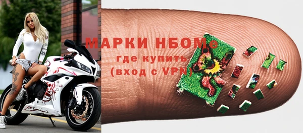 ECSTASY Горняк