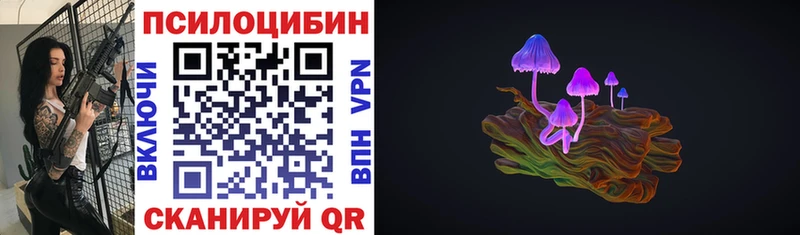 KRAKEN как войти  Бор  Галлюциногенные грибы Psilocybe 