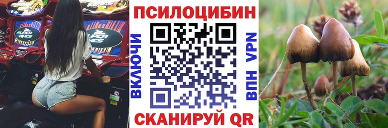 Галлюциногенные грибы GOLDEN TEACHER Бор
